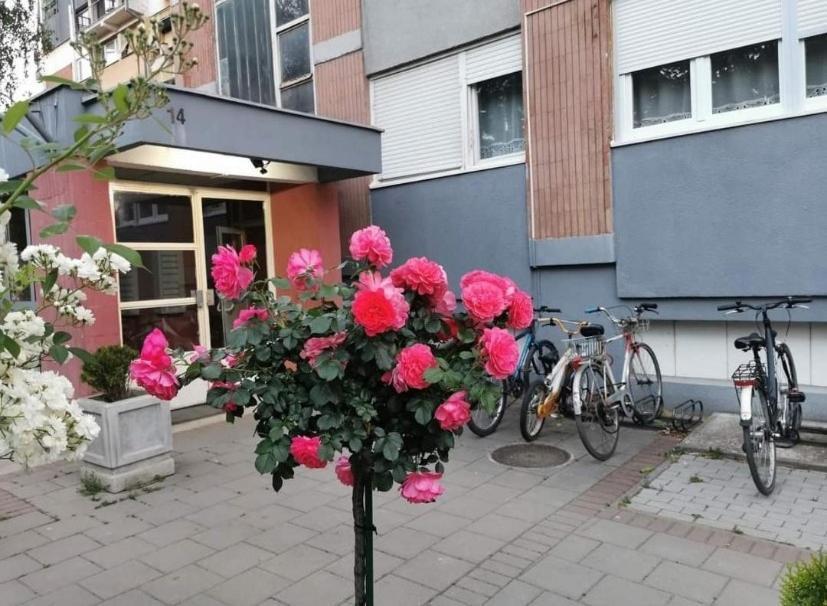 Apartamento Vuk Čačak Exterior foto